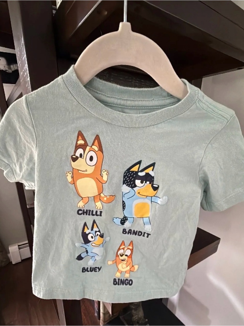 Bluey tee shirt nwot 18m